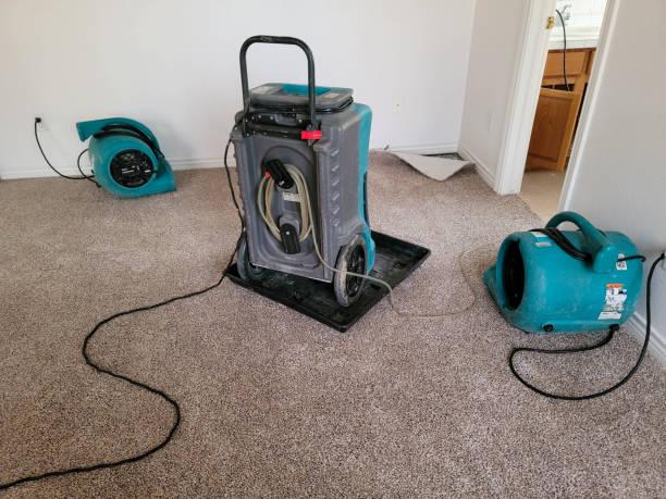Best Water damage restoration near me  in Sheffield, AL