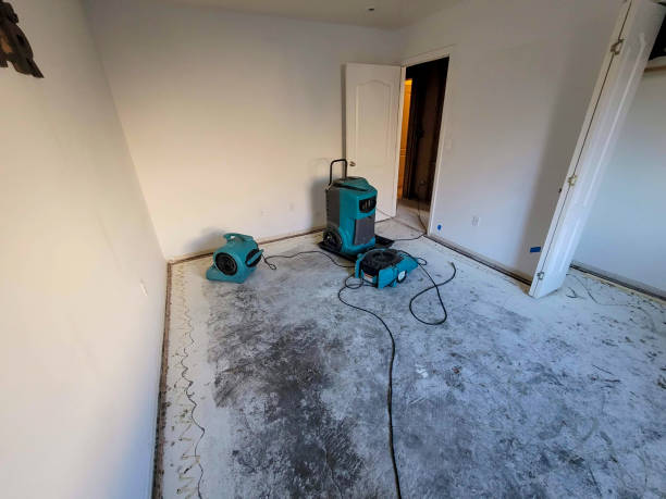 Best Fire Damage Restoration  in Sheffield, AL
