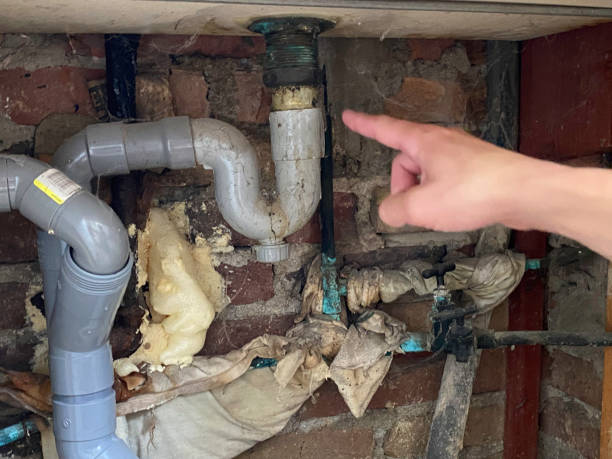 Best 24/7 water damage repair  in Sheffield, AL