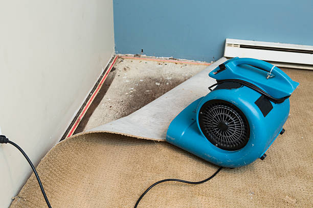 Best Water damage restoration cost  in Sheffield, AL